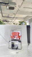 Professionele commerciële automatische sinaasappelpers-automaat met motor en hoge productiviteit
