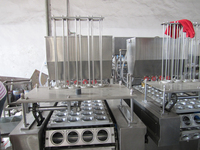 Machine de scellage automatique pour sachets et cartons de liquides (gelée, mayonnaise, yaourt, fromage blanc, ketchup, huile) pour la marque 200ml, précision de 2%