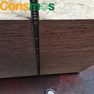 Panneaux de contreplaqué <span class=keywords><strong>OSB</strong></span> <span class=keywords><strong>3</strong></span> de 2500*1250mm, 18mm et <span class=keywords><strong>22mm</strong></span> pour application en salle de bain - Product Image 2