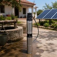 Pompe submersible sans balais DC 48V 7m³/h 2 pouces 37m de hauteur de refoulement 750W, pompe à eau solaire pour puits profond, pompe submersible pour l'irrigation