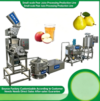 Ligne de production automatique de jus de fruits, équipement commercial de pressage de pommes et de cassis, ligne complète