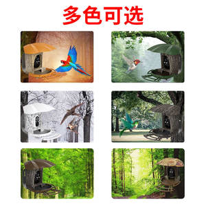 กล้องให้อาหารนกอัจฉริยะ AI พลังงานแสงอาทิตย์ ไร้สาย Wifi อินฟราเรดมองเห็นในเวลากลางคืน ระยะ 15 เมตร พร้อมระบบสื่อสารด้วยเสียงและสัญญาณเตือน - Product Image 2