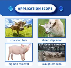 Hoàn toàn tự động và hiệu quả cao lợn dê cừu Máy tẩy lông thiết bị giết mổ