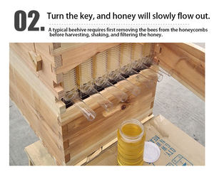 Honey Auto Flowing Automatic Beehive Honey Bee House Bee Hive Box Sudáfrica - Product Image 3