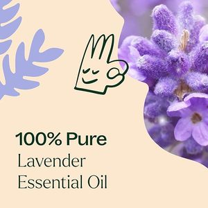 Huile Essentielle de Lavande Pure Biologique 10ml en Gros OEM ODM pour Diffuseur d'Arômes, Soin de la Peau, Soutien au Sommeil, Relaxation et Apaisement - Product Image 2