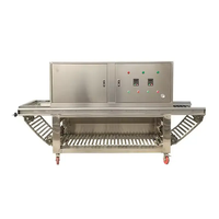 Dezoton Commerciële Uienschilmachine 300-800kg per uur SS304 RVS Hoge Efficiëntie Automatische Uienschilmachine