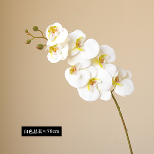 Vente chaude Décoration intérieure Fleurs d'orchidée artificielles en silicone à 7 têtes au toucher réel en gros pour la décoration de mariage et de salon - Product Image 5