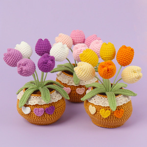 Maceta de Tulipán Tejida a Mano, Mini Planta en Maceta, Maceta de Flores Tejida en Algodón Suave con Decoración de Corazón de Encaje, Hecha a Mano - Product Image 1