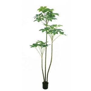 Árbol Artificial Schefflera <span class=keywords><strong>Arboricola</strong></span> Realista de 120 cm, Planta de Sombrilla Enano Artificial con Tacto Real - Product Image 5