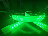 Guirlandes lumineuses à 5 rangées pour clients américains, blanc pur, CRI 95 élevé, étanches IP68, bande LED 5730 12V