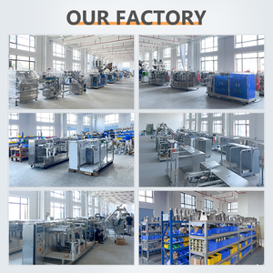 Automatic Premade Pouch Filling Machine for <b>Wheat</b> Flour & Corn Starch –Dust-Tight Seals, Precise Auger Dosing, Food Grade Design - Product Image 6