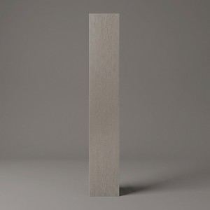 Piastrella Grigia Materia 15x90 Cm 10 Mm Finitura Opaca Bordo Rettificato - Product Image 1