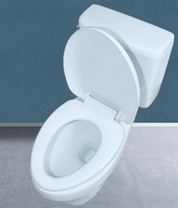 WC monobloc moderne en céramique blanc brillant avec chasse double, cuvette en céramique écologique pour salle de bain d'hôtel - Product Image 6