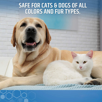 Shampooing pour chiens White Label, naturel, sans larmes, protéiné, éclaircissant, pour poils clairs, shampooing pour animaux de compagnie pour chiens et chats à poils noirs