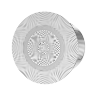 Système de son surround passif mini 8 ohms 2*20W, haut-parleur de plafond haute puissance, haut-parleur de plafond pour la musique d'ambiance à domicile, à l'hôtel