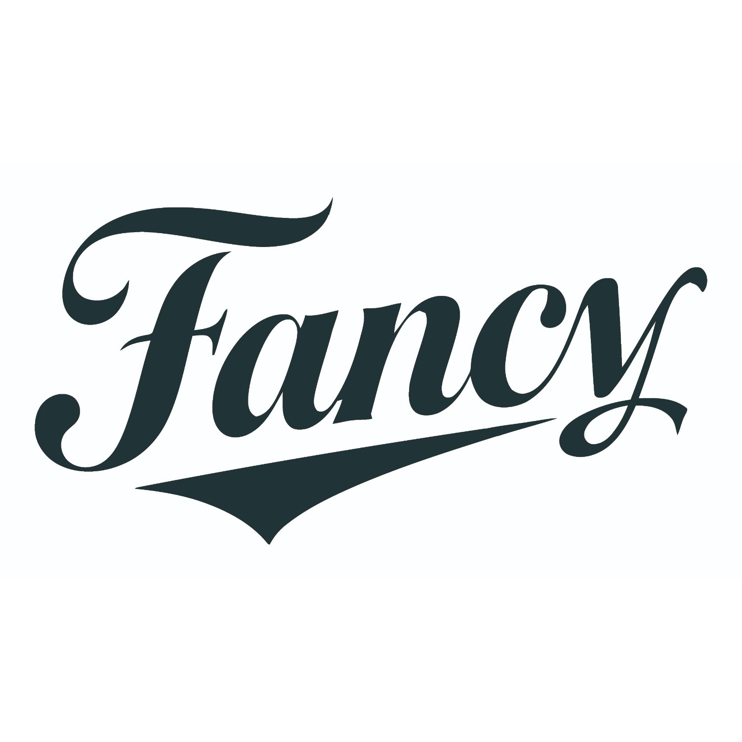 Changsha Fancy Apparel Co., Ltd.