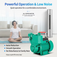 Pompe à eau centrifuge auto-amorçante électrique 220V pour système de surpression d'eau de puits domestique