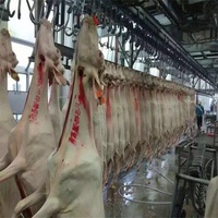 Ligne de traitement complète d'abattage de moutons à petite échelle