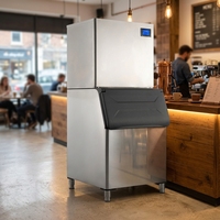 Machine à glaçons pour revendeur d'équipements de restauration, machine à glaçons pour marché aux poissons, 230V, machine à glaçons commerciale compacte NES-350C-P