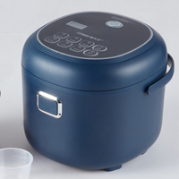 2L Portable Voiture Riz Cuiseur Électrique Camion Multicuiseur Soupe Bouillie Cuisson Alimentaire Vapeur Électrique Boîte À Lunch 12V/24V/110V/220V