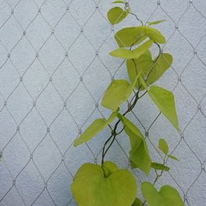 קיר ירוק ארוג רשת גן צמח רסיס רשת תיל מטפס תיל מטפס צמח תיל נירוסטה חבל רשת חבל תיל נירוסטה - Product Image 4