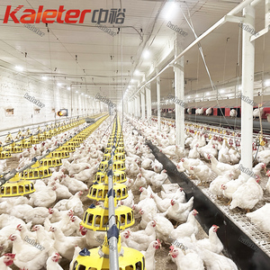 Sistema de Alimentación Automática para Gallinas de Corral Libre Zhongyu Kaleter 2024, la Versión Más Reciente - Product Image 6