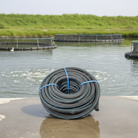 Approvisionnement d'usine tuyau noir Nano bulle Aquarium diffuseur aérateur barboteur filtré eau agricole aquaculture Machine aérateurs