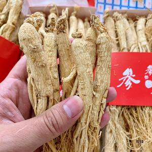 Premium Bütün <span class=keywords><strong>Ginseng</strong></span> Kökü |   5 Yıllık Yabani Yetiştirilen |   %100 Doğal |   Yüksek Ginsenoside İçeriği - Product Image 2