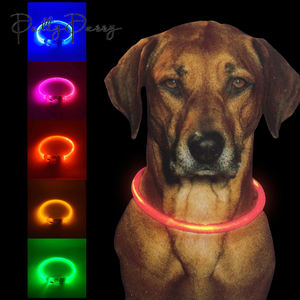 조정 가능한 <span class=keywords><strong>Led</strong></span> 빛 개 애완 동물 목걸이 중국에서 만든 야간 조명 애완 동물 개 고양이 개 안전 조명 플래시 목걸이 애완 동물 용품 - Product Image 2