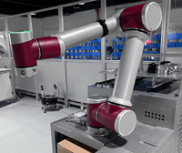 Robot Colaborativo JAKA A5 Fácil de Programar, Certificado CCC y CE, para Ensamblaje de Precisión, Carga CNC y Soldadura