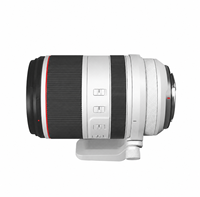 Objectif zoom téléobjectif F2.8 L IS USM d'occasion, compatible avec les appareils photo hybrides R5 R6 R7 R8 R10 R50, idéal pour les portraits, le sport, la faune et la vidéo.