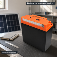 Ventilateur de sol solaire 20 pouces, sans balais, haute puissance, avec hélice métallique, batterie LiFePO4, USB 5V et lampe LED pour
