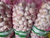 Distributeur et Fournisseur en Gros d'Ail Blanc Frais de Chine pour l'Exportation sur Alibaba