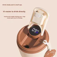 Vaso Térmico Inteligente de Acero Inoxidable 316 con Pantalla de Temperatura LED de Alta Calidad, para Decoración del Hogar y el Automóvil