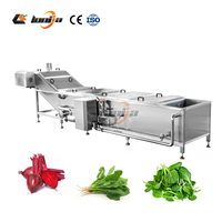 Volledig automatische fruit- en groenteblancheermachine, pinda-blancher, champignon-blancher