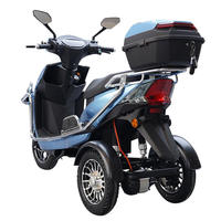 10 Inch Electric Motorcycle Tricycle 500/650/800W/1000W 30km/h Speed Electric Tricycle for Adults Disabled