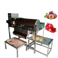 Veel Populaire Fabriek Prijs Automatische Zaden Separator Passie Fruit Huid Verwijderen Proces Granaatappel Peel Remover Machine