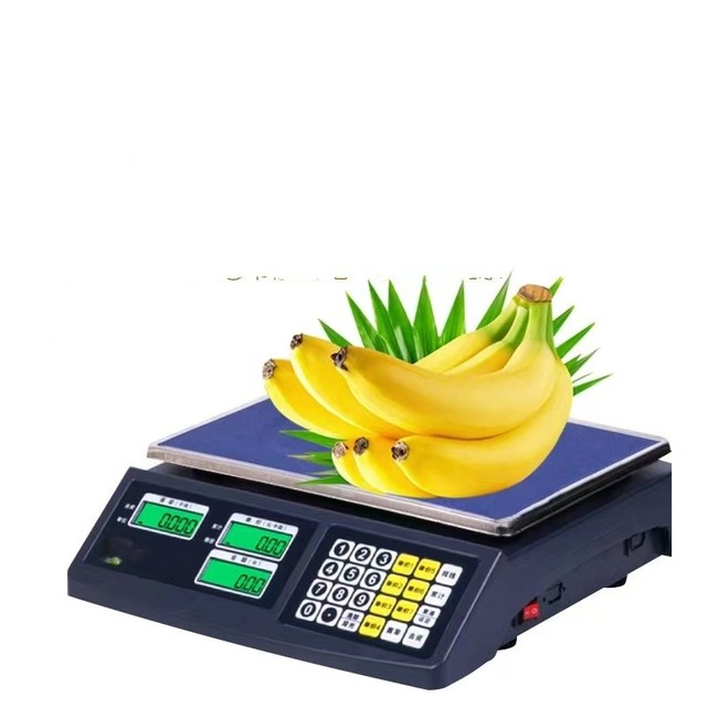 OIML Hot Selling and Good Quality Serial Port Scale 30KG Electronic Scale Digital Weighing Price Computing Scale