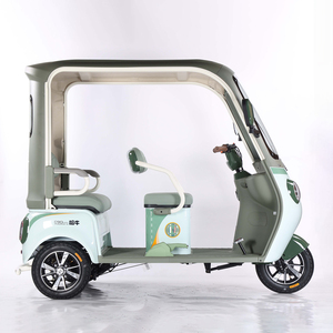 Tricycle électrique à carrosserie ouverte pour adultes, <span class=keywords><strong>moto</strong></span> à trois roues, vélo électrique, roues fermées, passager, moteur électrique, voiture, moteur EEC puissant - Product Image 2