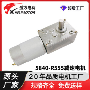 Xinlimotor 4632-R395 <b>Worm</b> <b>Gear</b> Dc Reduction Motor 36V Curtain Motor High Torque Mini Motor For Smart Curtains - Product Image 4