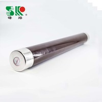 Fusible RMU haute tension limiteur de courant fusible lien Ht transformateur d'huile MV & HV 55*520mm corps de Tube en céramique ou époxy