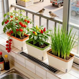 Jardinière rectangulaire auto-arrosante en plastique durable avec fenêtre de niveau d'eau visible pour plantes succulentes, balcon et légumes - Product Image 6