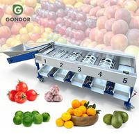 Industriële sorteermachine voor groenten, fruit, tomaten, uien, citrusvruchten, jujubes en droge producten.