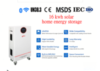 Batteries LiFePO4 solaires ESS 51.2V 314Ah 10kWh 15kWh 16kWh avec onduleur intégré et équilibreur actif, Plug and Play, stock UE Philippines