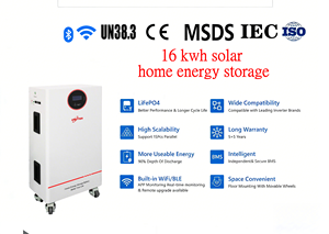 Batterie LiFePO4 51.2V 314Ah 16KWh con Inverter Integrato e Bilanciatore Attivo, Pronte all'Uso, Consegna in 7-15 Giorni (Stock UE) - Product Image 3