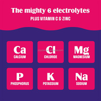 OEM Elektrolit Hidrasi Bebas Gula untuk Dewasa dengan ACV & Vitamin C dalam Bentuk Bubuk Kemasan Kustom