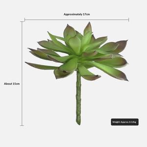 <span class=keywords><strong>Suculenta</strong></span> Artificial <span class=keywords><strong>Echeveria</strong></span> con Tacto Realista, Bonsái en Maceta de Goma Suave para Decoración de Escritorio - Product Image 4