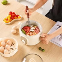 Meilleure Vente : Cuiseur Électrique Portable 2L Multifonction avec Cuiseur Vapeur en Acier pour Maison, Hôtel et Utilisation Extérieure – Offre Spéciale