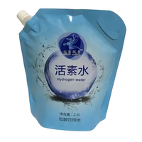 Pochette de cornue aseptique 32 OZ Stand up sac à eau avec bec verseur pour jus avec gaufrage et gravure