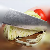 Couteau de cuisine fait à la main de 8 pouces avec 67 couches d'acier damas VG10 et couteau de chef à manche en bois stabilisateur